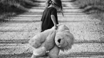 Pixabay, фото - Новости Zakon.kz от 26.07.2020 00:51