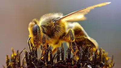 Zakon.kz, фото - Новости Zakon.kz от 14.09.2015 23:34