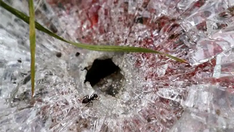 Славянск: целью украинских карателей стал детский приют