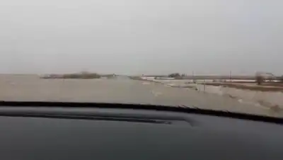 Zakon.kz, фото - Новости Zakon.kz от 17.04.2017 15:53