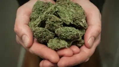 из открытых источников, фото - Новости Zakon.kz от 02.05.2018 08:26