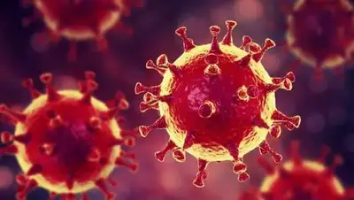 pixabay.com, фото - Новости Zakon.kz от 28.10.2020 09:23