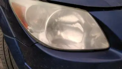 mysku, фото - Новости Zakon.kz от 29.08.2020 13:49