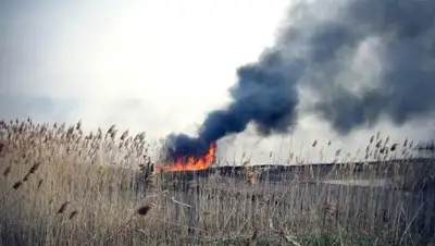 Zakon.kz, фото - Новости Zakon.kz от 07.10.2015 14:06