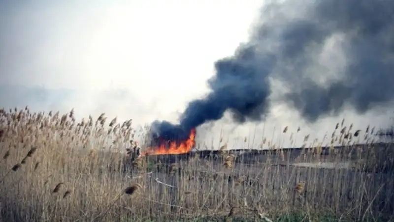 В Атырауской области горят камыши