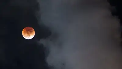 © РИА Новости / Александр Кряжев, фото - Новости Zakon.kz от 01.02.2018 17:14