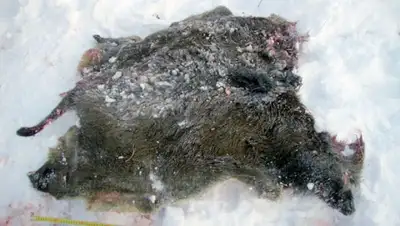 Zakon.kz, фото - Новости Zakon.kz от 19.01.2015 23:49