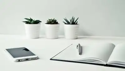 pixabay, фото - Новости Zakon.kz от 30.10.2021 07:31