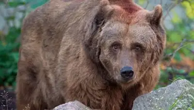 Zakon.kz, фото - Новости Zakon.kz от 22.10.2014 00:45