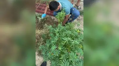 расследование, фото - Новости Zakon.kz от 22.08.2023 00:38