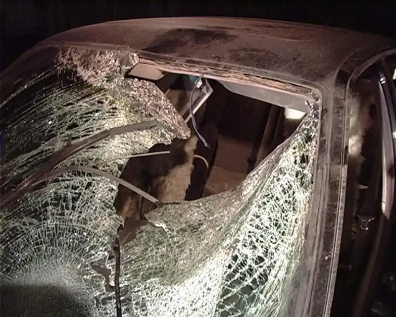 В Алматы под колесами иномарки погиб дорожный полицейский (фото), фото - Новости Zakon.kz от 06.12.2011 15:49