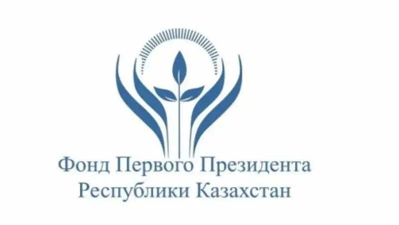 Более 20 проектов казахстанских НПО получат гранты Фонда Первого Президента РК