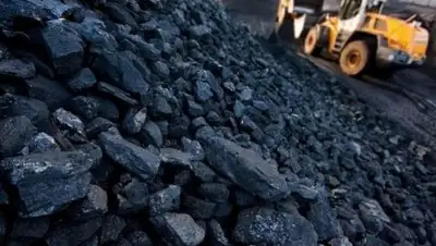 Zakon.kz, фото - Новости Zakon.kz от 26.09.2017 01:35