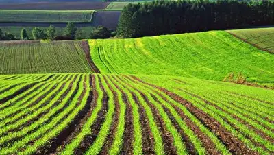 Zakon.kz, фото - Новости Zakon.kz от 06.04.2017 23:32