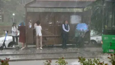дождь, Алматы, прогноз погоды, июль , фото - Новости Zakon.kz от 04.07.2022 14:46