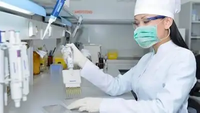 zakon.kz., фото - Новости Zakon.kz от 03.11.2020 08:00