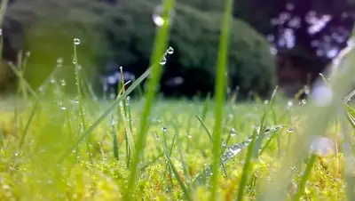 Zakon.kz, фото - Новости Zakon.kz от 12.07.2016 15:34