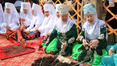 mix.tn.kz, фото - Новости Zakon.kz от 20.03.2018 09:50