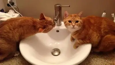 Vplate.ru, фото - Новости Zakon.kz от 15.05.2021 20:09