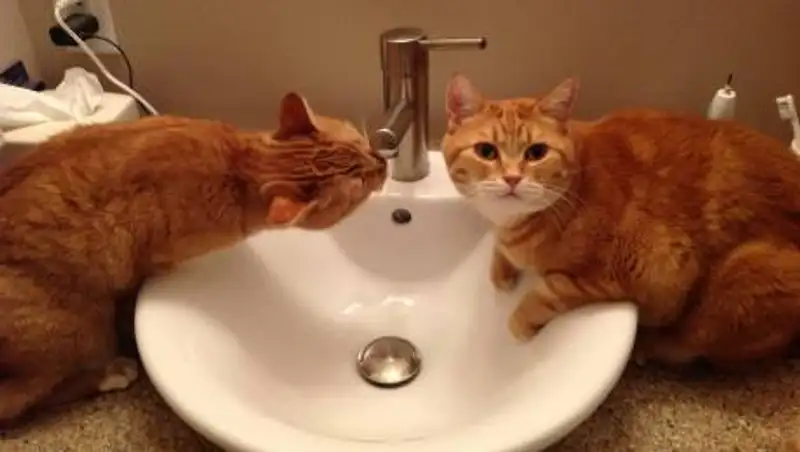 В двух районах Алматы часть зданий отключат от холодной воды