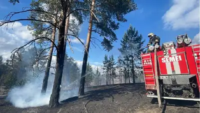 лесной пожар в ВКО, фото - Новости Zakon.kz от 02.06.2022 10:44