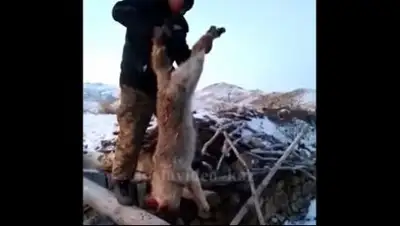 социальные сети, фото - Новости Zakon.kz от 01.02.2018 08:45