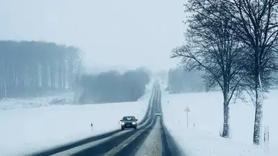 Pixabay, фото - Новости Zakon.kz от 15.11.2021 18:06