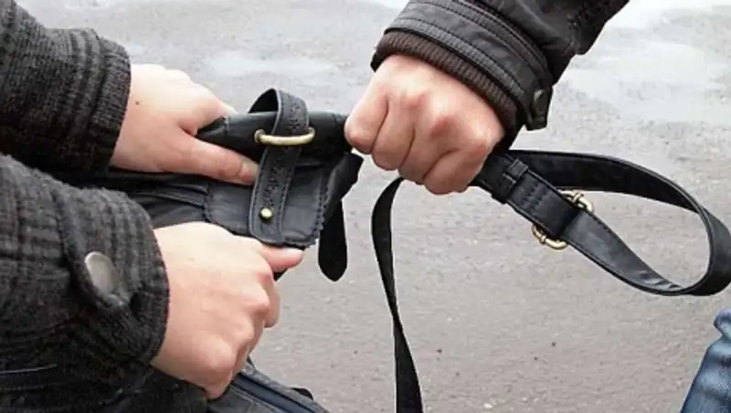 Полицейские Караганды задержали группу грабителей