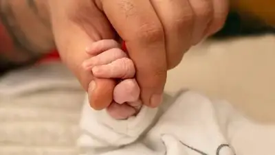 pixabay.com, фото - Новости Zakon.kz от 04.10.2021 15:33