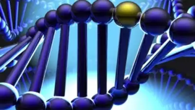 Zakon.kz, фото - Новости Zakon.kz от 10.04.2015 00:24