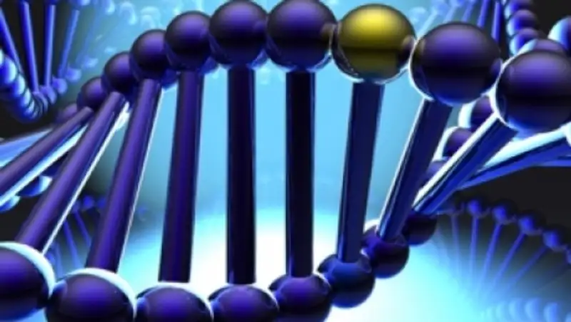 Томские ученые будут искать ген переносимости холода