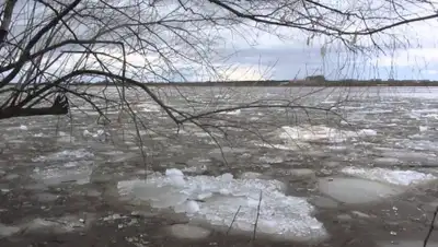 Zakon.kz, фото - Новости Zakon.kz от 04.04.2016 15:29