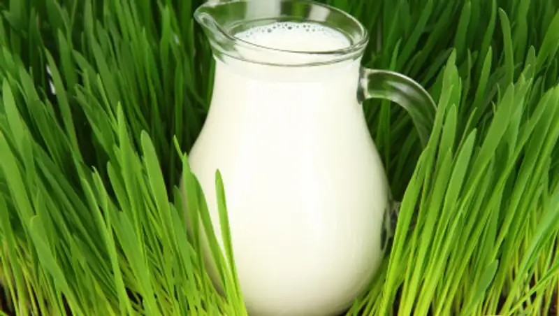 Еще одно "лекарство" от коронавируса стало популярным в Казахстане