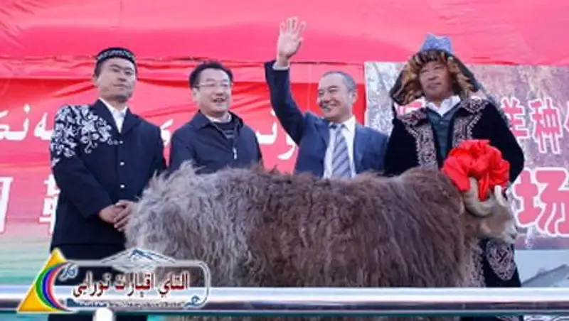 Казах из Синьцзяня продал барана за 4 млн тенге