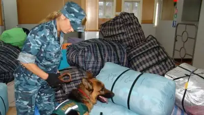 Zakon.kz, фото - Новости Zakon.kz от 25.05.2015 22:07