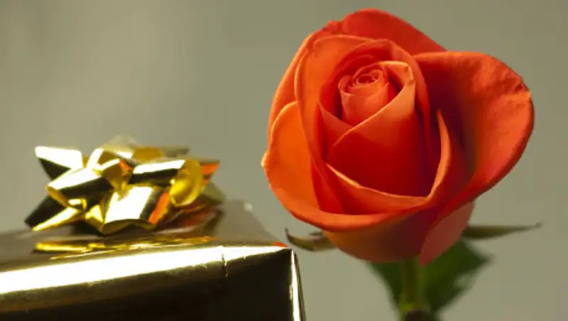 Подарки на 8 марта: желания женщин и возможности мужчин