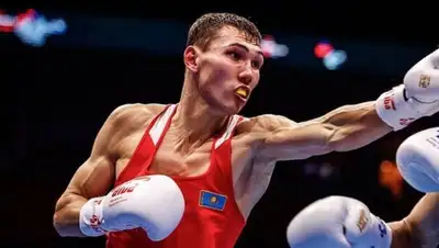 боксер, фото - Новости Zakon.kz от 06.11.2022 17:36