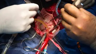 Zakon.kz, фото - Новости Zakon.kz от 17.08.2017 01:35