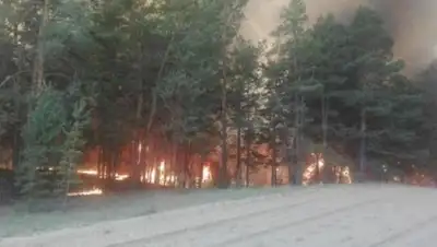 inform.kz , фото - Новости Zakon.kz от 22.05.2018 19:32