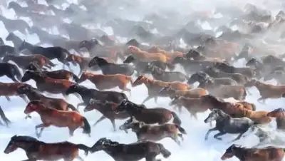 youtube.com, фото - Новости Zakon.kz от 21.01.2021 06:45