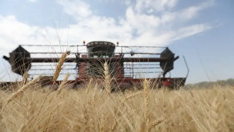 Нужно кардинально решить вопрос обеспечения продбезопасности страны – Токаев