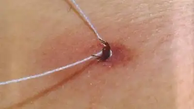 Zakon.kz, фото - Новости Zakon.kz от 21.04.2015 17:48