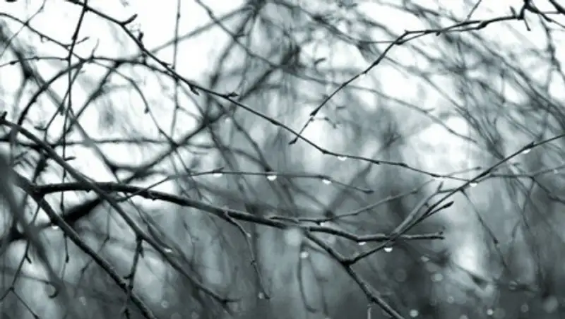 30 марта на юге Казахстана ожидаются осадки