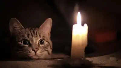 Фото: kremen.today, фото - Новости Zakon.kz от 09.01.2018 07:27