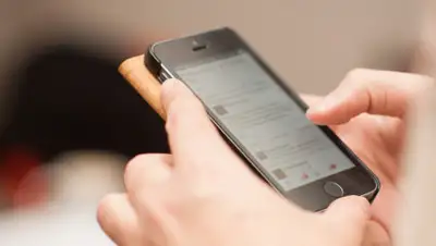 rossaprimavera, фото - Новости Zakon.kz от 19.08.2020 08:52