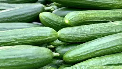 pexels.com, фото - Новости Zakon.kz от 06.10.2021 17:24