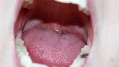 Flickr, фото - Новости Zakon.kz от 13.03.2019 10:18