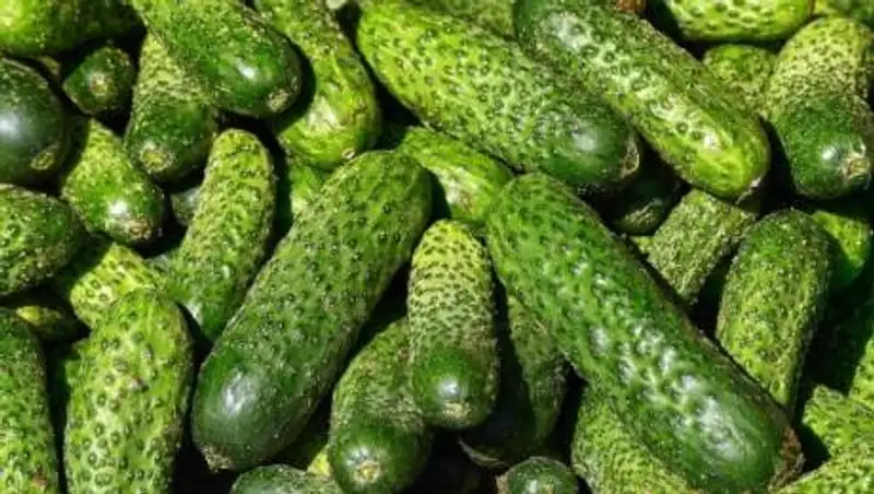 Почему в Казахстане взлетели цены на огурцы