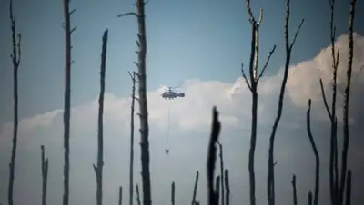 Zakon.kz, фото - Новости Zakon.kz от 03.06.2016 14:15