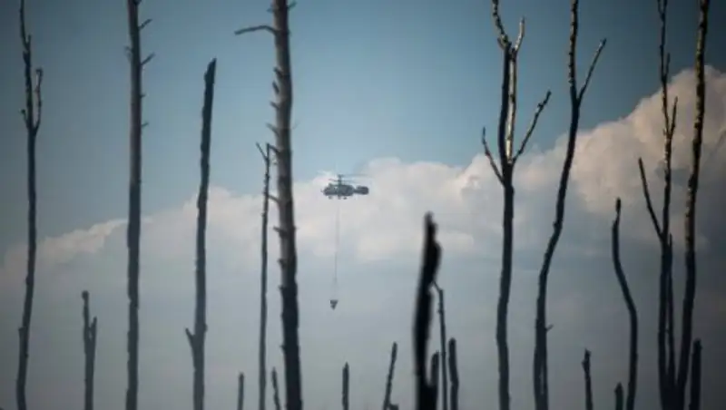 На Дальнем Востоке за сутки сгорели более 2,9 тысяч гектаров леса